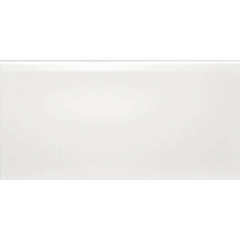 Liso Blanco Mate 30x10