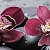 City Orchid Centro Декор 20x50