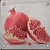 Composicion Robin Grey