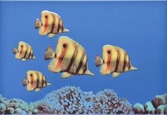 MONO FISH 2 Декор 27,5х40