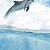 Porto Dolphins B Панно 100x60 (4пл)