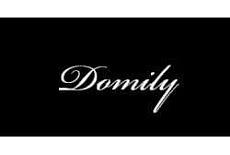 Domily
