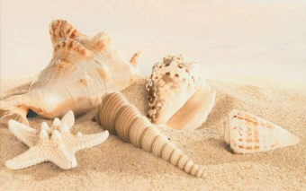 Amalfi sand decor 01 25х40