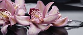Porto "Orchid lila" Панно 50x120 (4пл)