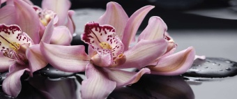 Porto "Orchid lila" Панно 50x120 (4пл)