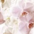 Porto Flowers Flower Панно 75x60 (3пл)