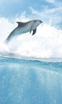 Porto Dolphins B Панно 100x60 (4пл)