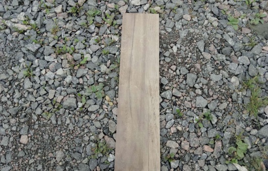 Albero