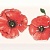 Rosso white 01 Декор 10x30