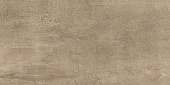 Poleo Плитка настенная TWU09PLO424 24,9х50