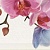 Decor Orchidea 4 Декор 10x20