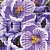 Motive Декор Violet (MF2M221DT) 25х35