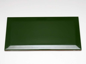Biselado Botella Brillo 10x20 Dar Ceramics