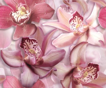 Porto Flowers "Orchid lila" Панно 50x60 (2пл)