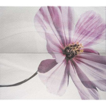 Decor Fragancia Blanco 40x45.2