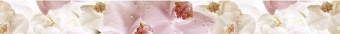 Porto Flowers listwa Бордюр 6х60