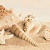 Amalfi sand decor 01 25х40