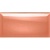 Biselado Coral Brillo/Mate 10x30