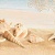 Amalfi sand panno 01 50x80 Панно (комплект из 4 шт)